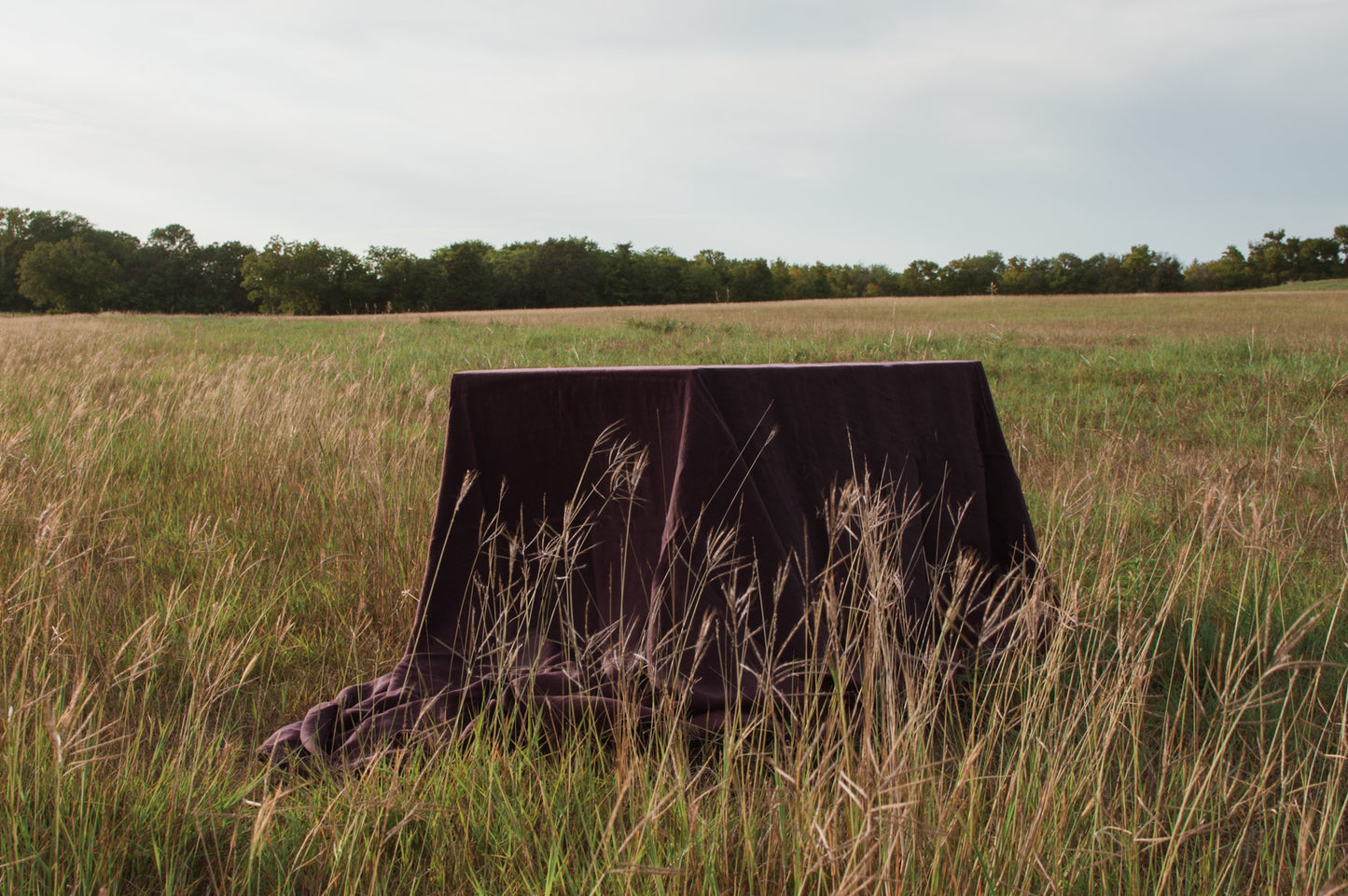 Aubergine Linen Tablecloth