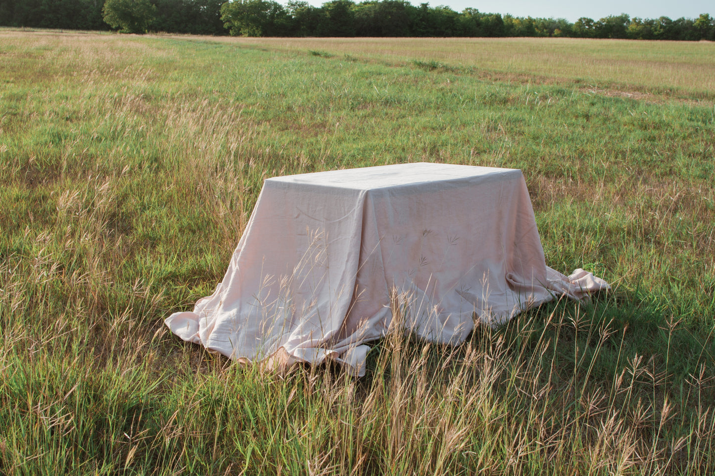 Blush Linen Tablecloth